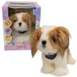 Opakowanie Piesek Shih Tzu