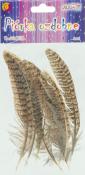 Opakowanie Piórka 10-15cm 8szt