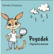 Pogodek i tajemnice deszczu. Autor: Monika Chojnicka. Dadada.pl Okładka książki Pogodek i tajemnice deszczu