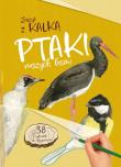 Ptaki naszych lasów. Zeszyt z kalką. Autor: Katarzyna Kopiec-Sekieta. Dadada.pl Okładka książki Ptaki naszych lasów. Zeszyt z kalką