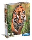 Opakowanie Puzzle 1000 Compact the Hunter’s Path 37108