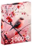 Opakowanie Puzzle 1000 Czerwony brzuszek