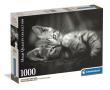 Opakowanie Puzzle 1000 Kitty