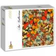Opakowanie Puzzle 1000 Motyle, Motyle, Motyle!