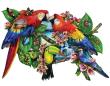 Opakowanie Puzzle 1000 Papugi, Lori Schory