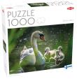 Opakowanie Puzzle 1000 Swan on Lake with Babies