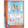 Opakowanie Puzzle 1000 The Human Body 6000-1000