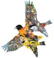 Opakowanie Puzzle 1000 Wilga