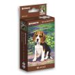 Opakowanie Puzzle 108 mini Dog Garden Beagle