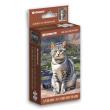 Opakowanie Puzzle 108 mini Elegant Cat American Shorthair
