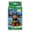 Opakowanie Puzzle 108 mini Starry Night Dachshund