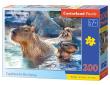 Opakowanie Puzzle 200 Capybaras In Hot Spring