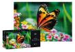 Opakowanie Puzzle 250 Colourful Nature Postman Butterfly