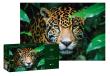 Opakowanie Puzzle 250 Wild Animals Cheetah