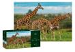 Opakowanie Puzzle 250 Wild Animals Giraffes