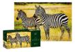 Opakowanie Puzzle 250 Wild Animals Zebras