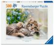 Opakowanie Puzzle 500 Kitten