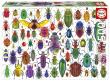 Opakowanie Puzzle 500 Kolorowe owady