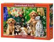 Opakowanie Puzzle 500 Puppies, Laundry and Bird Antics CASTOR