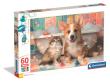 Opakowanie Puzzle 60 Maxi Super kolor Noli Bath Time Fun 26321