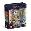 Opakowanie Puzzle Hard-M 450 Harry Potter
