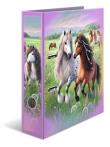 Opakowanie Segregator Świat koni 7cm
