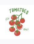 Opakowanie Serwetki DAISY Lunch SD 330x330 Pomidory 043901
