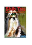 Shih Tzu. Autor: Redlicki Mirosław. Dadada.pl Okładka książki Shih Tzu
