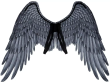 Opakowanie Skrzydła Archanioła czarne 95x75cm