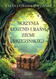 Skrzynia legend i baśni Ziemi Brzezińskiej. Autor: ANETA LEJWODA-ZIELIŃSKA. Dadada.pl Okładka książki Skrzynia legend i baśni Ziemi Brzezińskiej