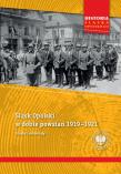 Okładka książki Śląsk Opolski w dobie powstań 1919–1921. Studia i materiały