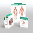 Okładka książki Sobotta Atlas of Anatomy. Package