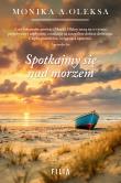 Spotkajmy się nad morzem. Autor: Monika A. Oleksa. Dadada.pl Okładka książki Spotkajmy się nad morzem