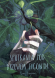 Spotkania pod drzewem figowym. Autor: Ewa Liegman. Dadada.pl Okładka książki Spotkania pod drzewem figowym