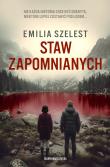 Okładka książki Staw Zapomnianych