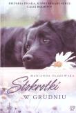 Stokrotki w grudniu. Autor: Marianna Olszewska. Dadada.pl Okładka książki Stokrotki w grudniu