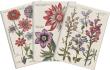 Opakowanie Stone 511 Zestaw 3 notatników A6 - kwiaty