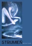 Okładka książki Strumień