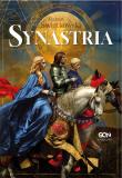 Synastria. Autor: Marcin Świątkowski. Dadada.pl Okładka książki Synastria