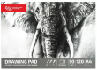 Opakowanie Szkicownik A4/50K 120g Słoń