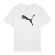 Opakowanie T-shirt PUMA rozm. 152