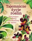 Tajemnicze życie roślin. Fascynujące sekrety i mechanizmy natury. Autor: Michał Mazik. Dadada.pl Okładka książki Tajemnicze życie roślin. Fascynujące sekrety i mechanizmy natury