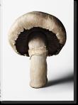 Okładka książki The Gourmand's Mushroom. A Collection of Stories & Recipes