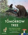 The Tomorrow Tree. How Nature Creates New Life From Old. Autor: Maciej Michno. Dadada.pl Okładka książki The Tomorrow Tree. How Nature Creates New Life From Old