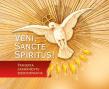 Veni Sancte Spiritus. Pamiątka bierzmowania - czer. Autor:   Praca zbiorowa. Dadada.pl Okładka książki Veni Sancte Spiritus. Pamiątka bierzmowania - czer