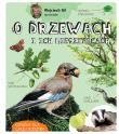 Okładka książki Wojciech Gil opowiada o drzewach i ich mieszkańcach wyd. 2026