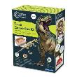 Opakowanie Wykopaliska - T-Rex