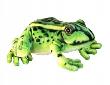 Opakowanie Żaba 28cm