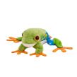 Opakowanie Żaba chwytnica kolorowa 10cm