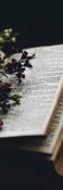 Opakowanie Zakładka do książki Biblia